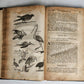 1666 HISTORY of CARIBBY ISLAND 1st ENGLISH EDITION antique ILLUSTRATED rare