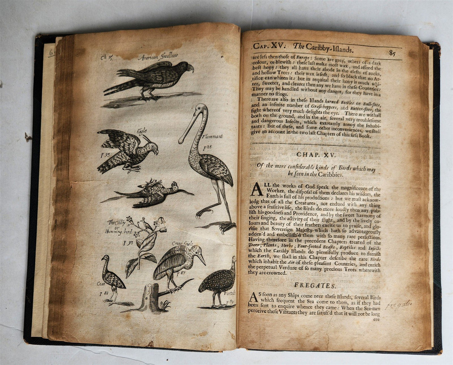 1666 HISTORY of CARIBBY ISLAND 1st ENGLISH EDITION antique ILLUSTRATED rare