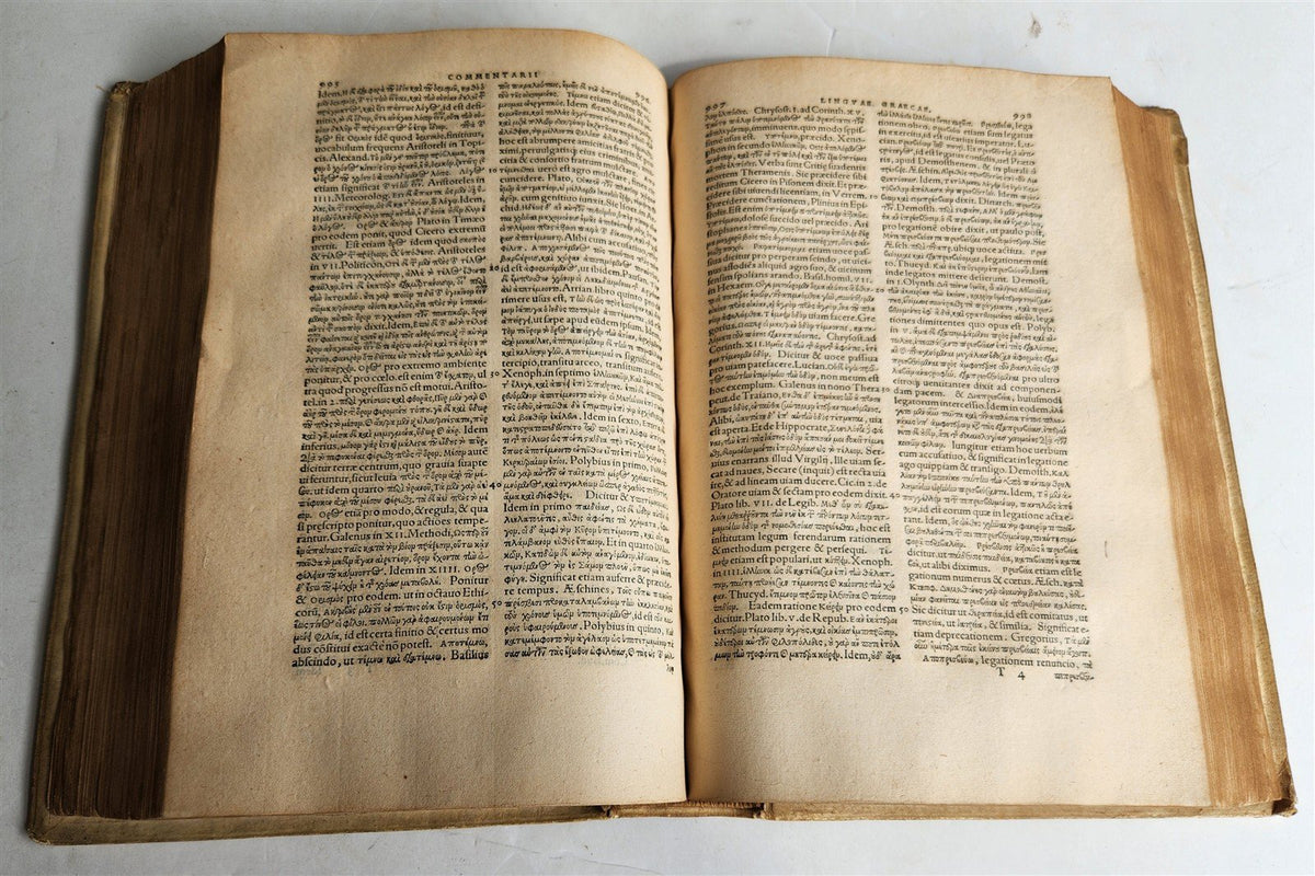 1557 Guillaume Bude COMMENTARII LINGUAE GRAECAE antique PIGSKIN BOUND FOLIO