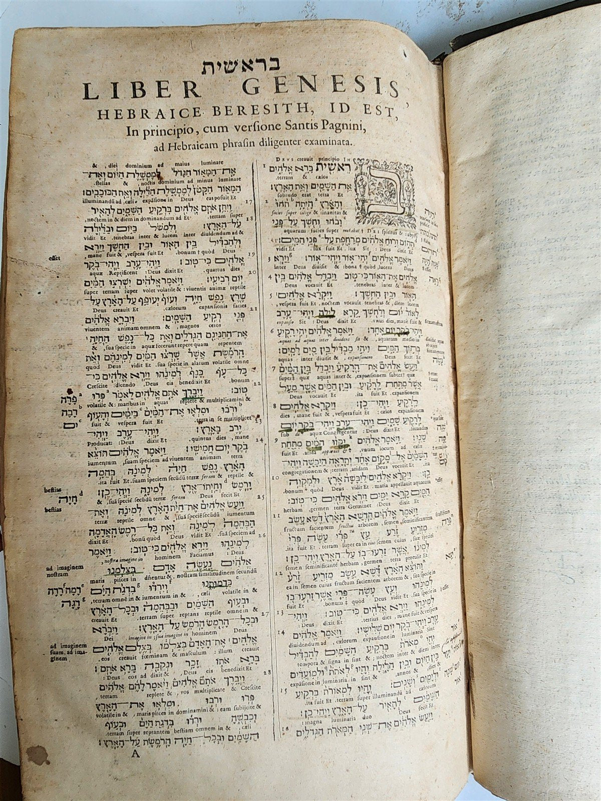 1584 BIBLE in GREEK & HEBREW antique 16th c PIGSKIN BOUND FOLIO by PLANTIN rare