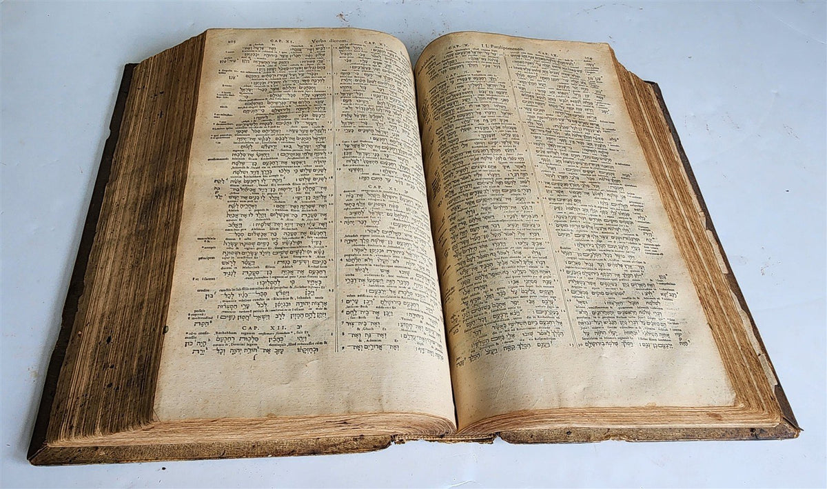 1584 BIBLE in GREEK & HEBREW antique 16th c PIGSKIN BOUND FOLIO by PLANTIN rare