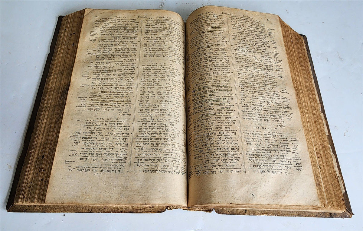 1584 BIBLE in GREEK & HEBREW antique 16th c PIGSKIN BOUND FOLIO by PLANTIN rare