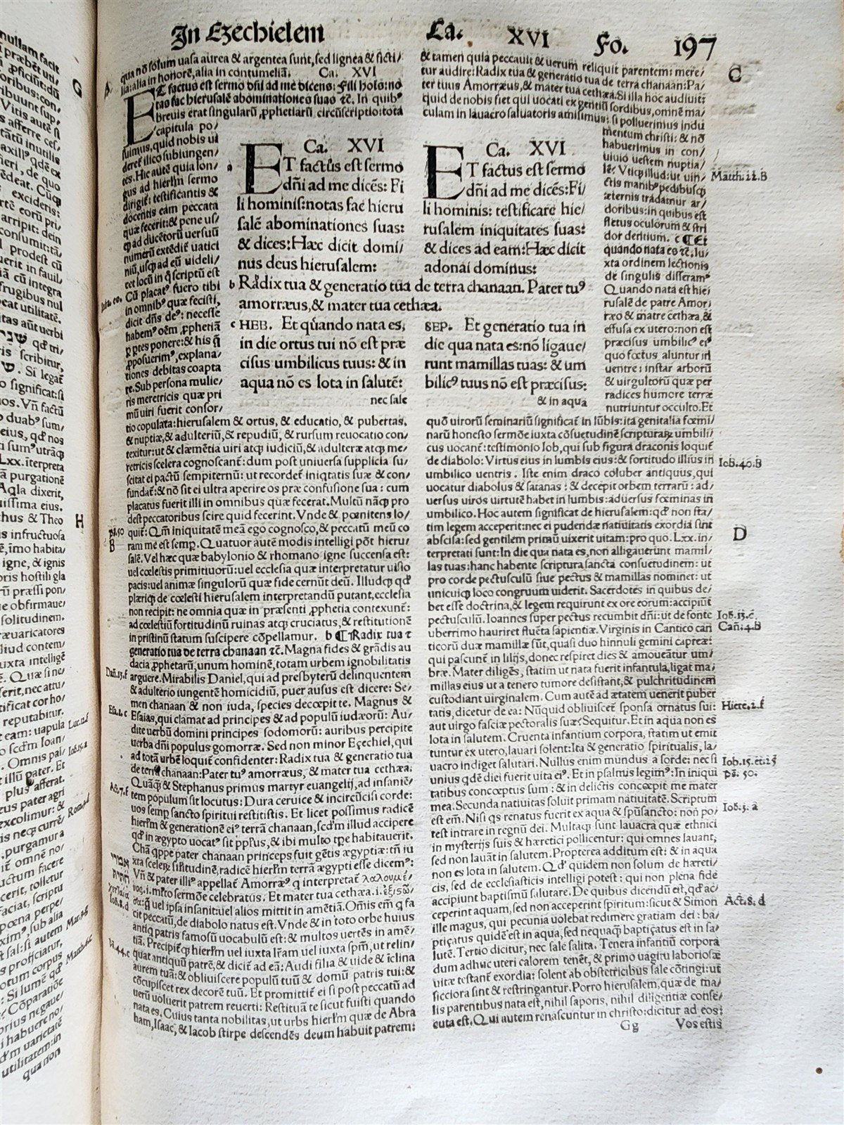 1516 POST-INCUNABULA OPERUM DIVI HIERONYMI by ST. JEROME antique PIGSKIN FOLIO