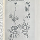 1925 EARLY EXPLORERS in AUSTRALIA by IDA LEE antique ILLUSTRATED 1st EDITION