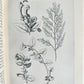 1925 EARLY EXPLORERS in AUSTRALIA by IDA LEE antique ILLUSTRATED 1st EDITION