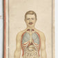 1890s PHILIPS POPULAR MANIKIN by W.FURNEAUX antique FLAP BOOK anatomical model