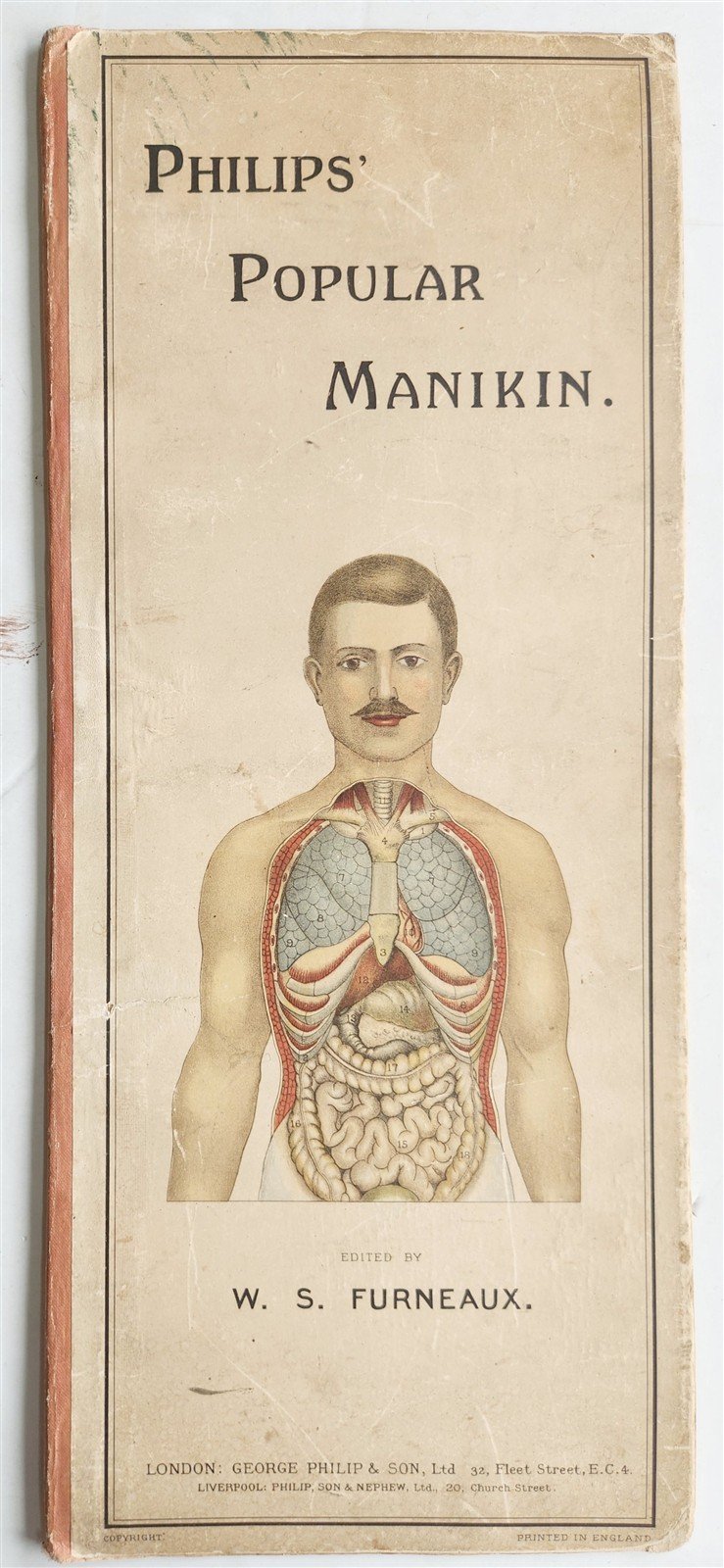1890s PHILIPS POPULAR MANIKIN by W.FURNEAUX antique FLAP BOOK anatomical model