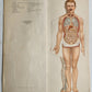 1890s PHILIPS POPULAR MANIKIN by W.FURNEAUX antique FLAP BOOK anatomical model