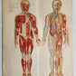 1890s PHILIPS POPULAR MANIKIN by W.FURNEAUX antique FLAP BOOK anatomical model