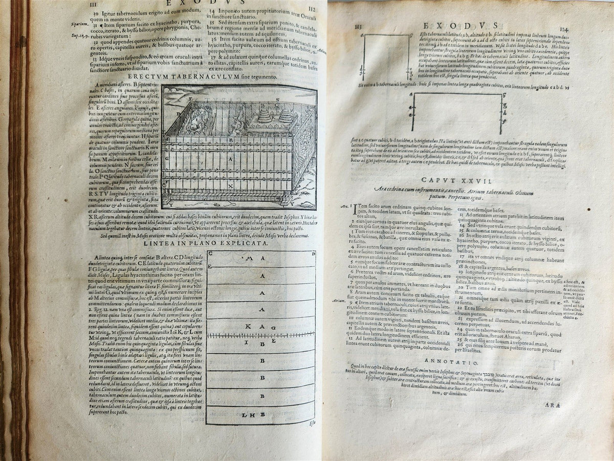 1573 BIBLE in LATIN ILLUSTRATED antique 16th c PIGSKIN BOUND FOLIO S. Castellio