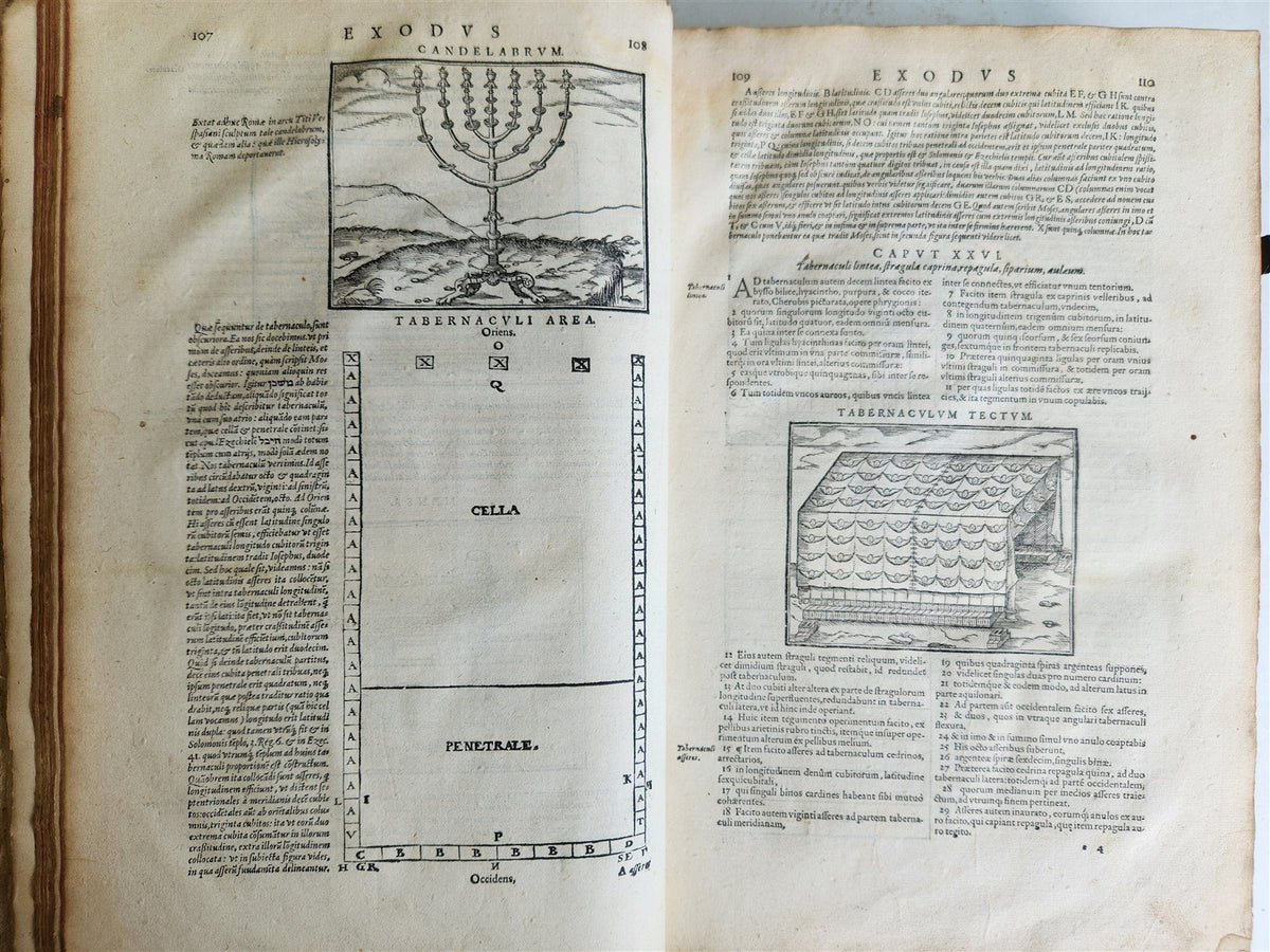 1573 BIBLE in LATIN ILLUSTRATED antique 16th c PIGSKIN BOUND FOLIO S. Castellio