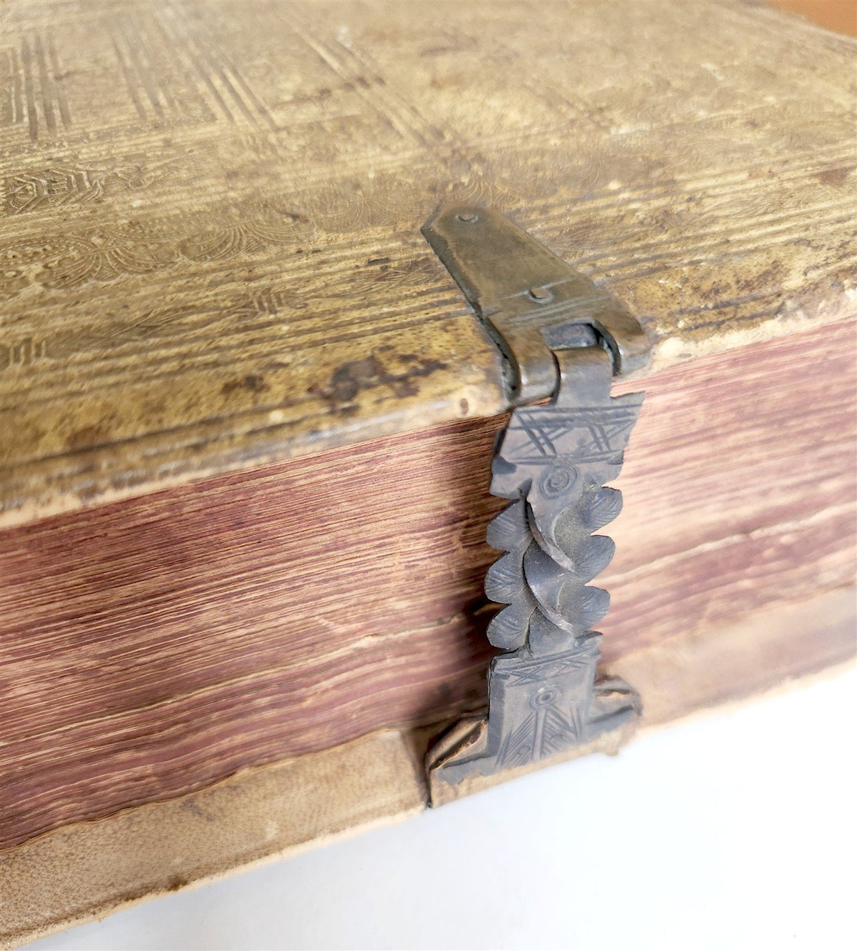 1573 BIBLE in LATIN ILLUSTRATED antique 16th c PIGSKIN BOUND FOLIO S. Castellio