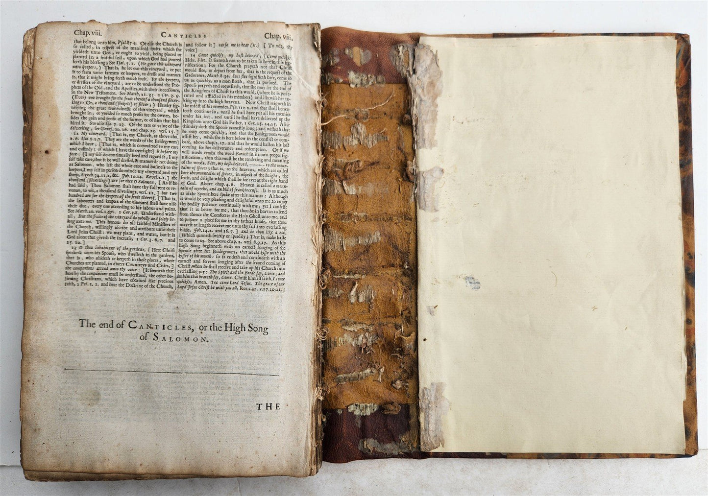 1657 FRAGMENT ENGLISH TRANSLATION of DUTCH ANNOTATIONS UPON WHOLE BIBLE antique