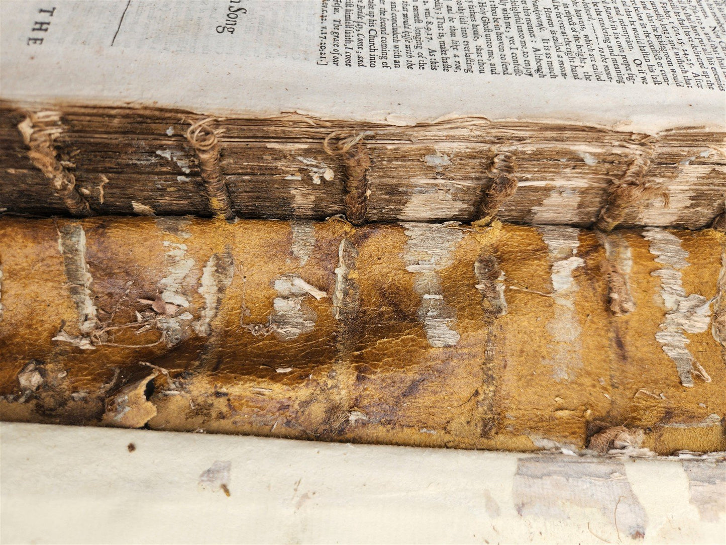 1657 FRAGMENT ENGLISH TRANSLATION of DUTCH ANNOTATIONS UPON WHOLE BIBLE antique