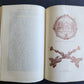 1905 LIFE of BENVENUTO CELLINI translated by John Symonds antique ILLUSTRATED