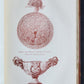1905 LIFE of BENVENUTO CELLINI translated by John Symonds antique ILLUSTRATED