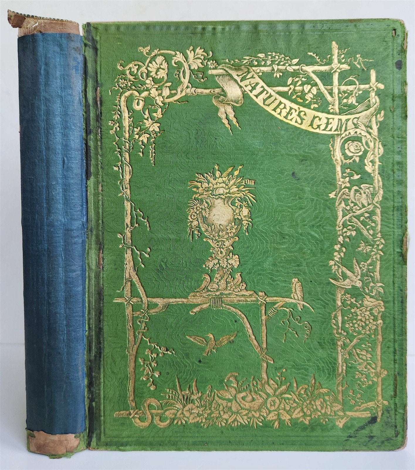 1845 AMERICAN WILD FLOWERS in THEIR NATIVE HAUNTS antique 1st ED. ILLUSTRATED