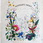 1845 AMERICAN WILD FLOWERS in THEIR NATIVE HAUNTS antique 1st ED. ILLUSTRATED