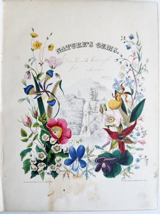 1845 AMERICAN WILD FLOWERS in THEIR NATIVE HAUNTS antique 1st ED. ILLUSTRATED