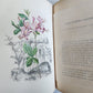 1845 AMERICAN WILD FLOWERS in THEIR NATIVE HAUNTS antique 1st ED. ILLUSTRATED