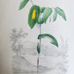 1845 AMERICAN WILD FLOWERS in THEIR NATIVE HAUNTS antique 1st ED. ILLUSTRATED