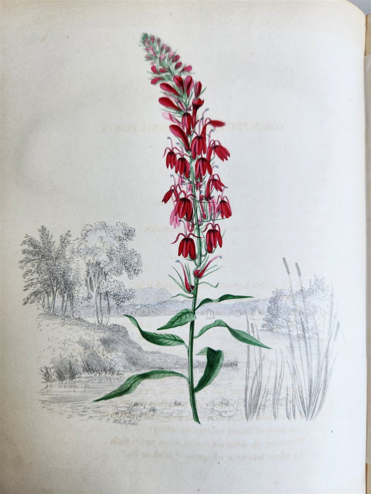 1845 AMERICAN WILD FLOWERS in THEIR NATIVE HAUNTS antique 1st ED. ILLUSTRATED