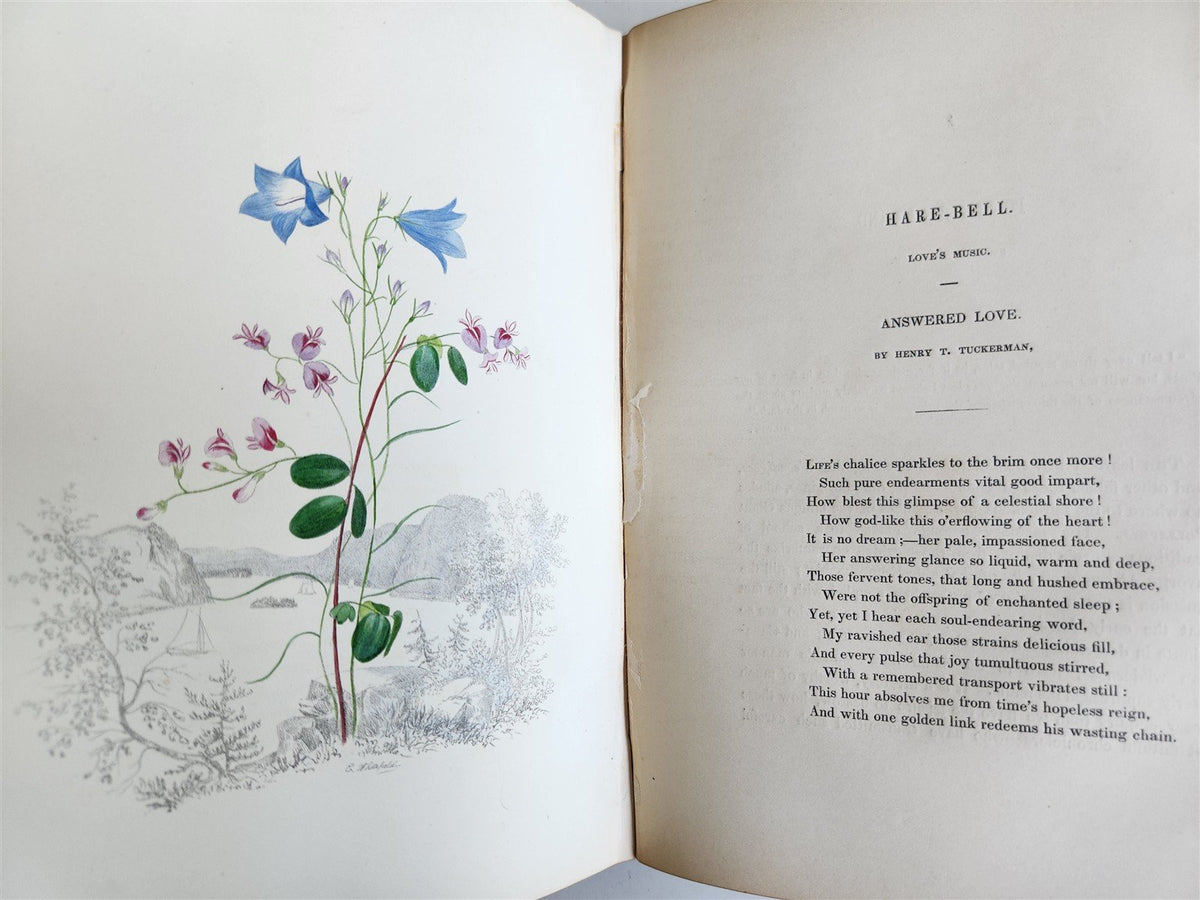 1845 AMERICAN WILD FLOWERS in THEIR NATIVE HAUNTS antique 1st ED. ILLUSTRATED