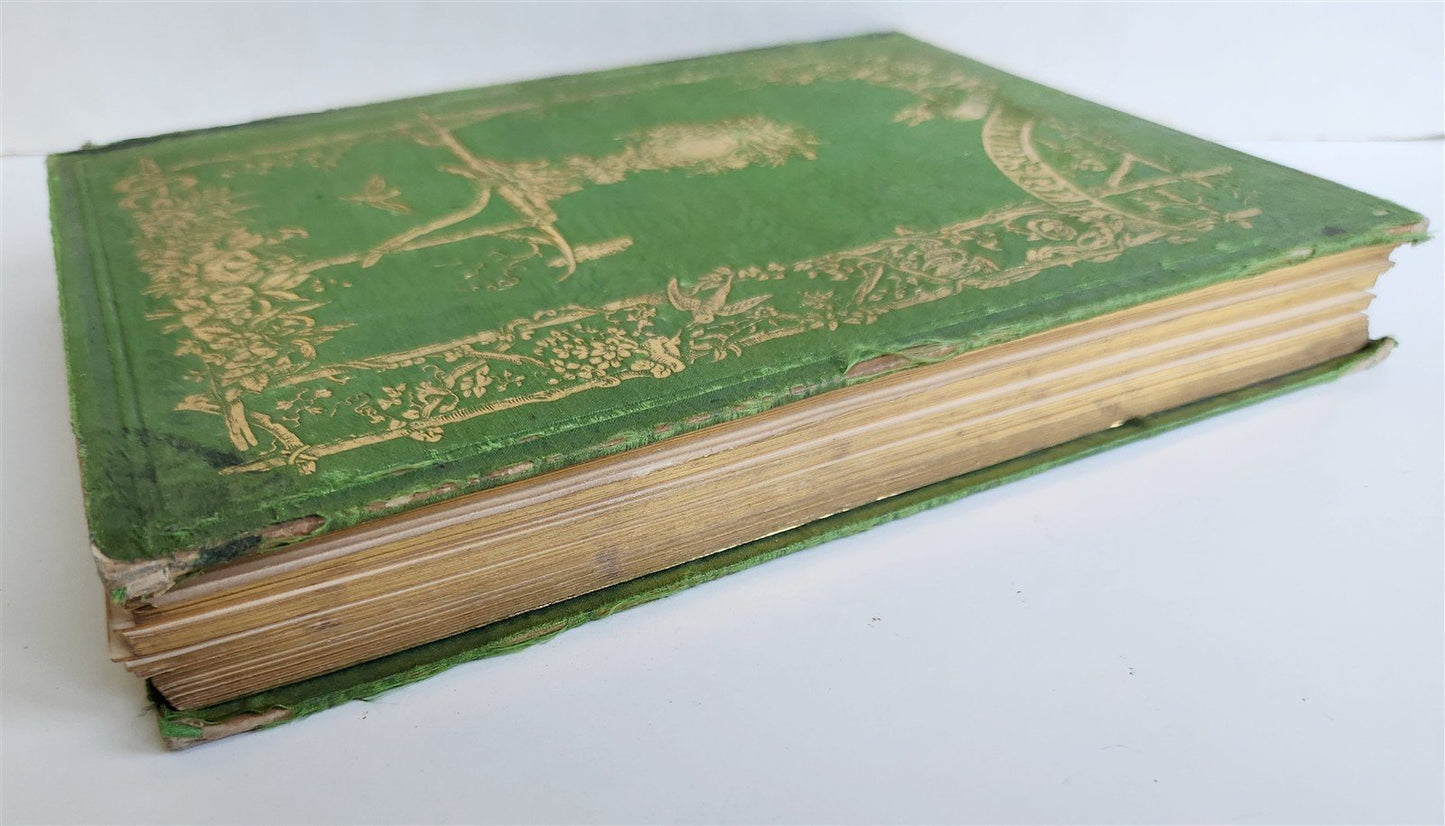 1845 AMERICAN WILD FLOWERS in THEIR NATIVE HAUNTS antique 1st ED. ILLUSTRATED