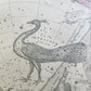 1856 CONSTELLATIONS CELESTIAL MAP CHART w/ Zodiacal figures for EACH MONTH map 7