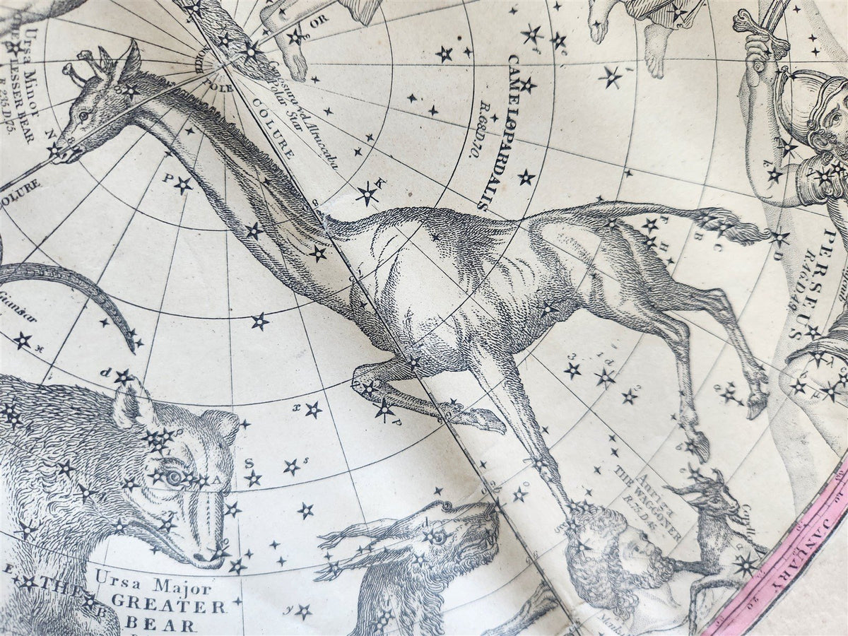 1856 CONSTELLATIONS CELESTIAL MAP CHART w/ Zodiacal figures for EACH MONTH map 6