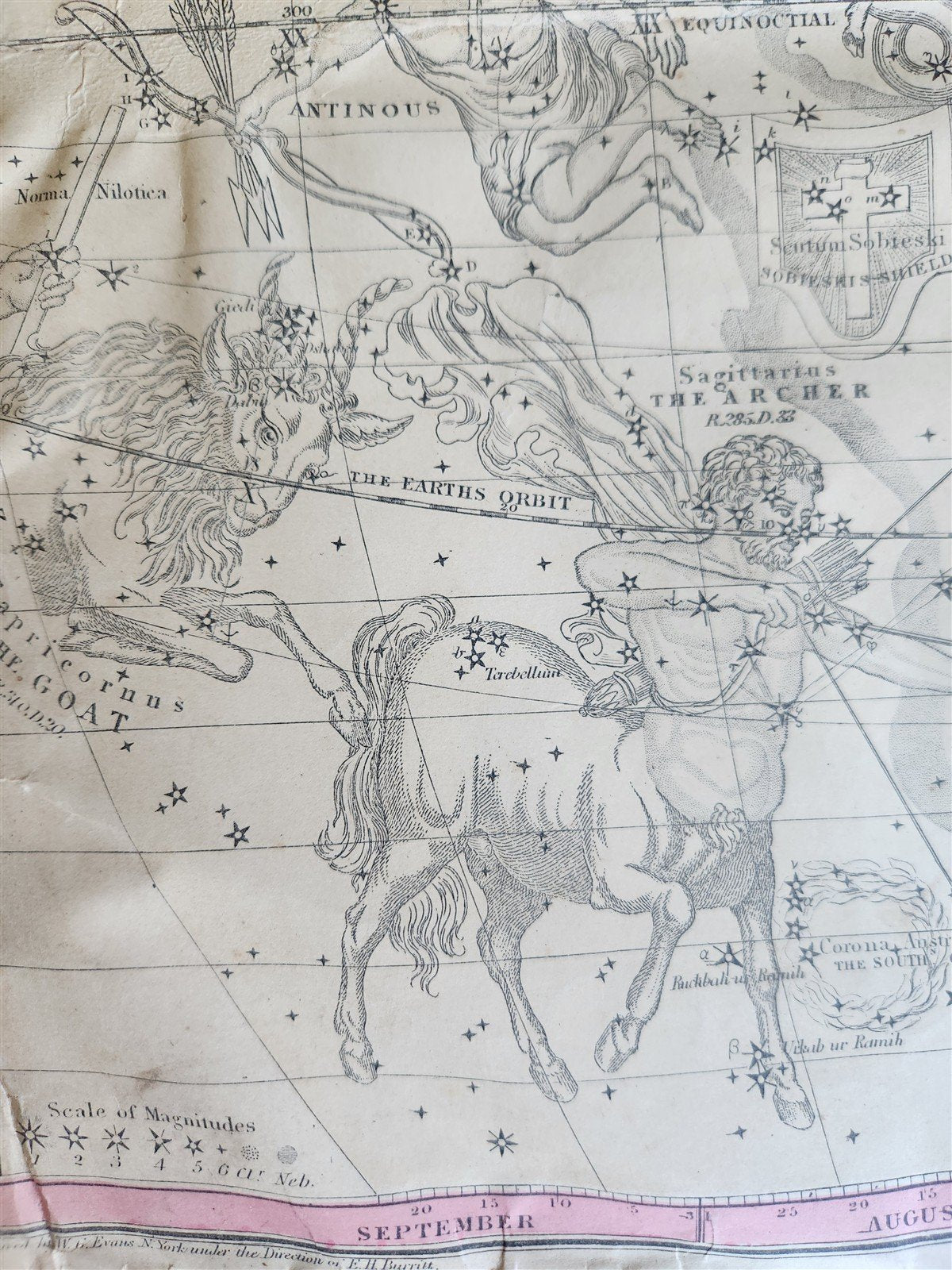 1856 CONSTELLATIONS CELESTIAL MAP CHART w/ Zodiacal figures JULY - SEPTEMBER