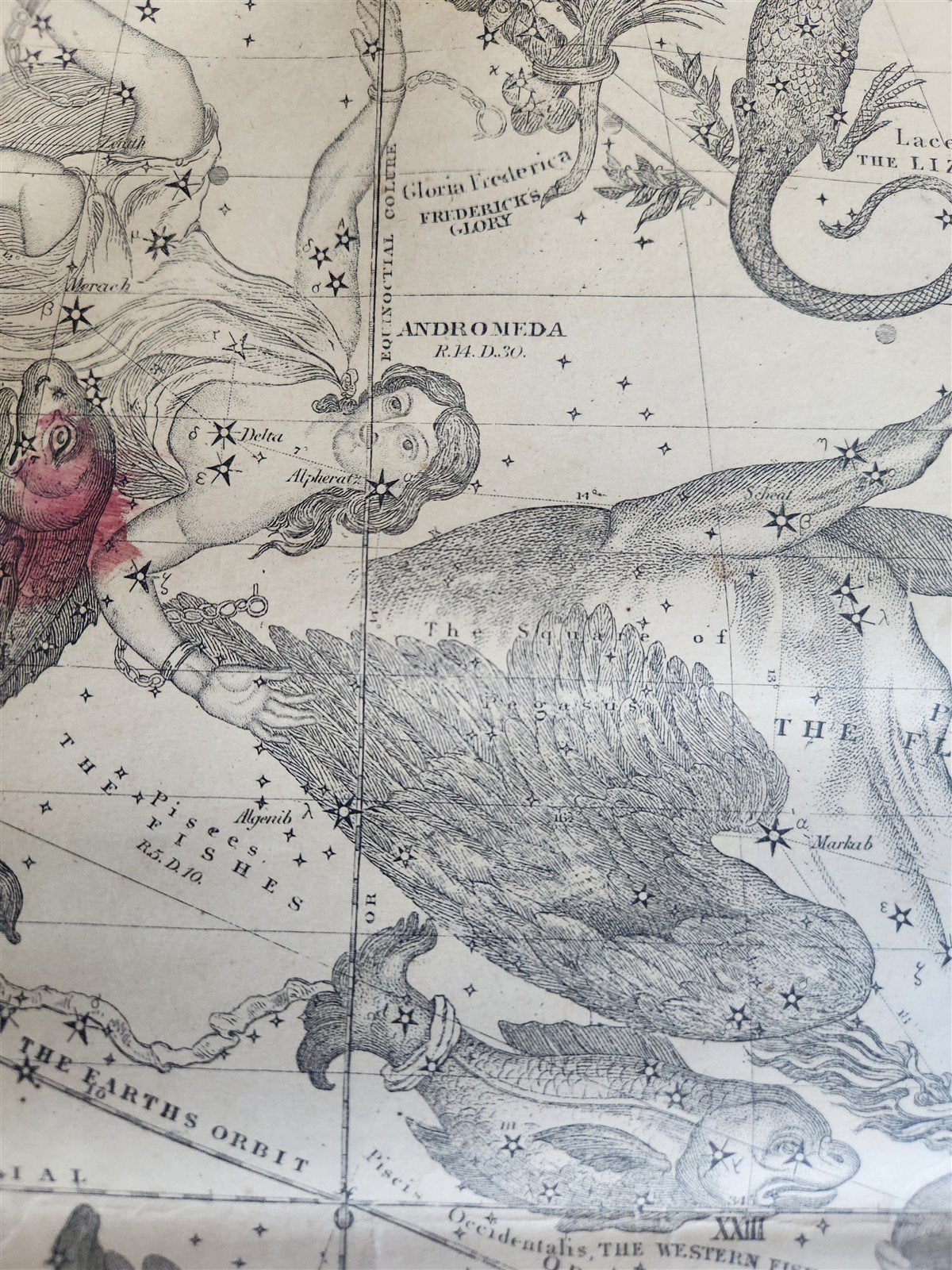 1856 CONSTELLATIONS CELESTIAL MAP CHART w/ Zodiacal figures OCTOBER - DECEMBER