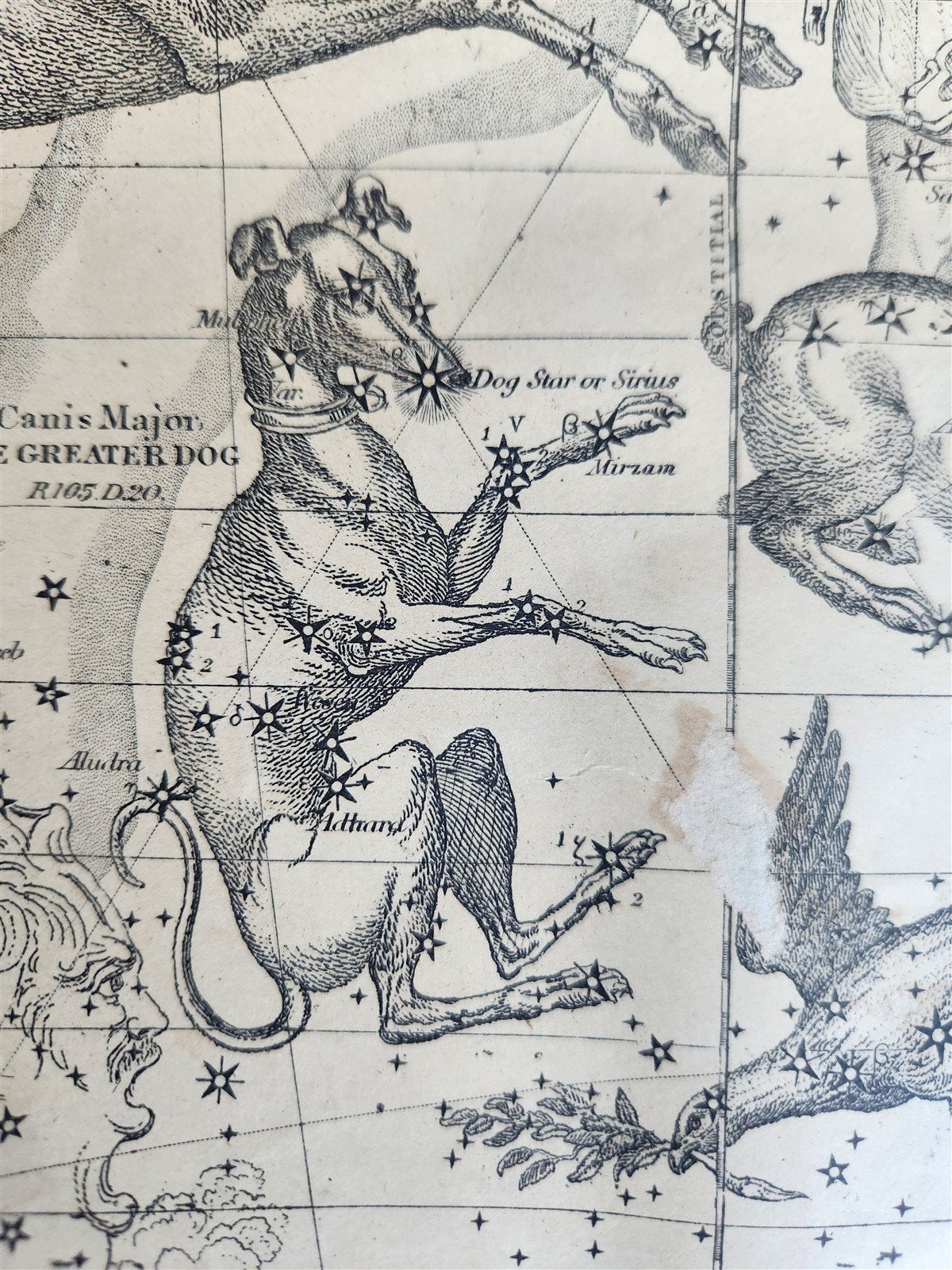 1856 CONSTELLATIONS CELESTIAL MAP CHART w/ Zodiacal figures January - March