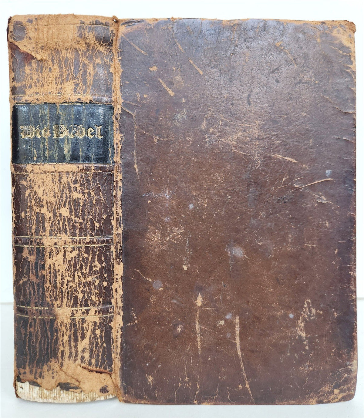 1847 BIBLE in GERMAN antique printed in NEW YORK Americana OLD & NEW TESTAMENT