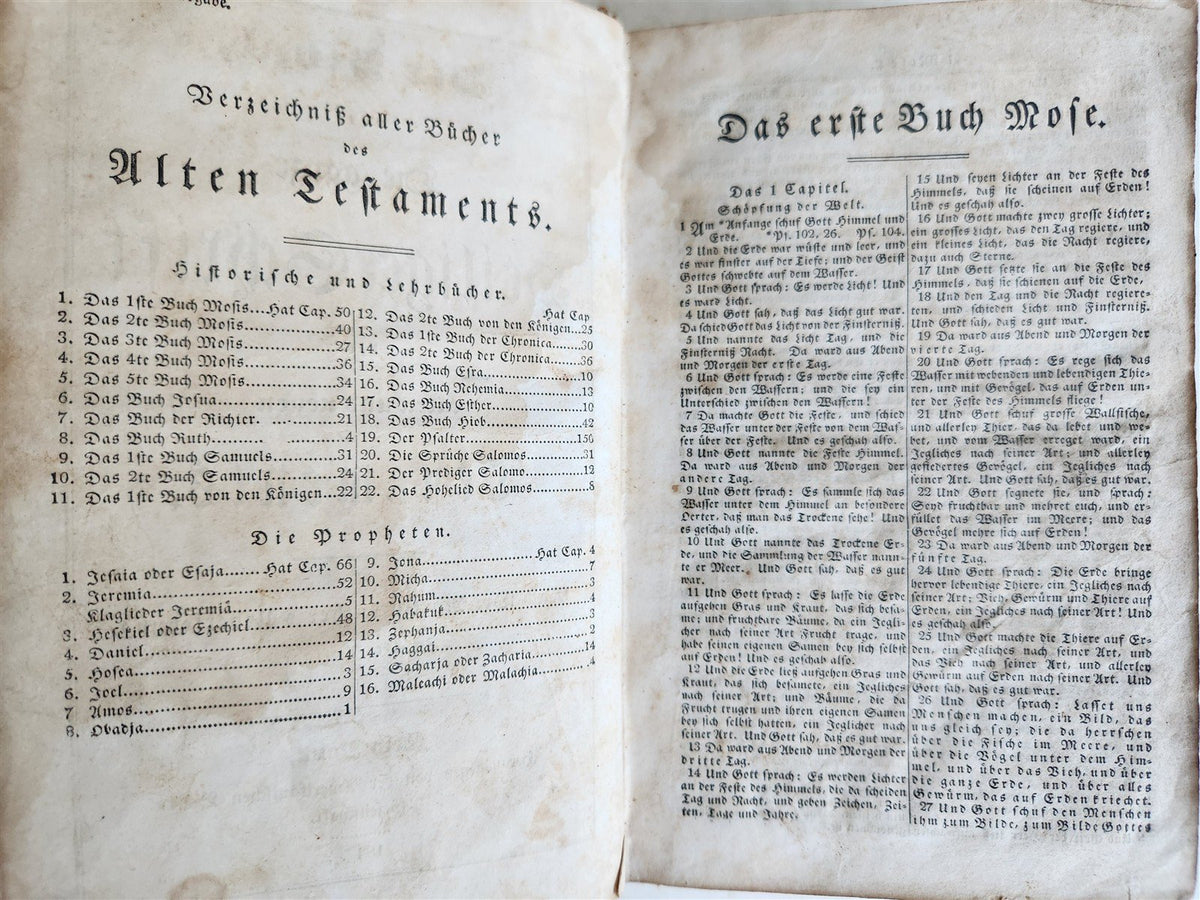 1847 BIBLE in GERMAN antique printed in NEW YORK Americana OLD & NEW TESTAMENT