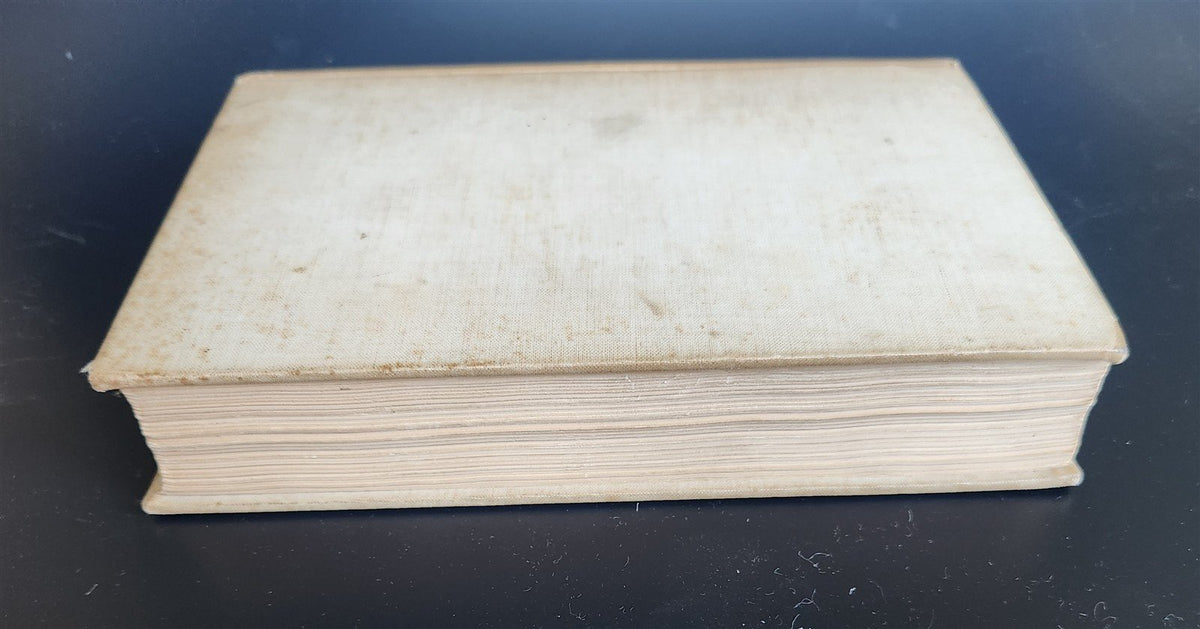 1897 FLORENCE HISTORY MEDICI ARTS antique ILLUSTRATED decorative vellum binding