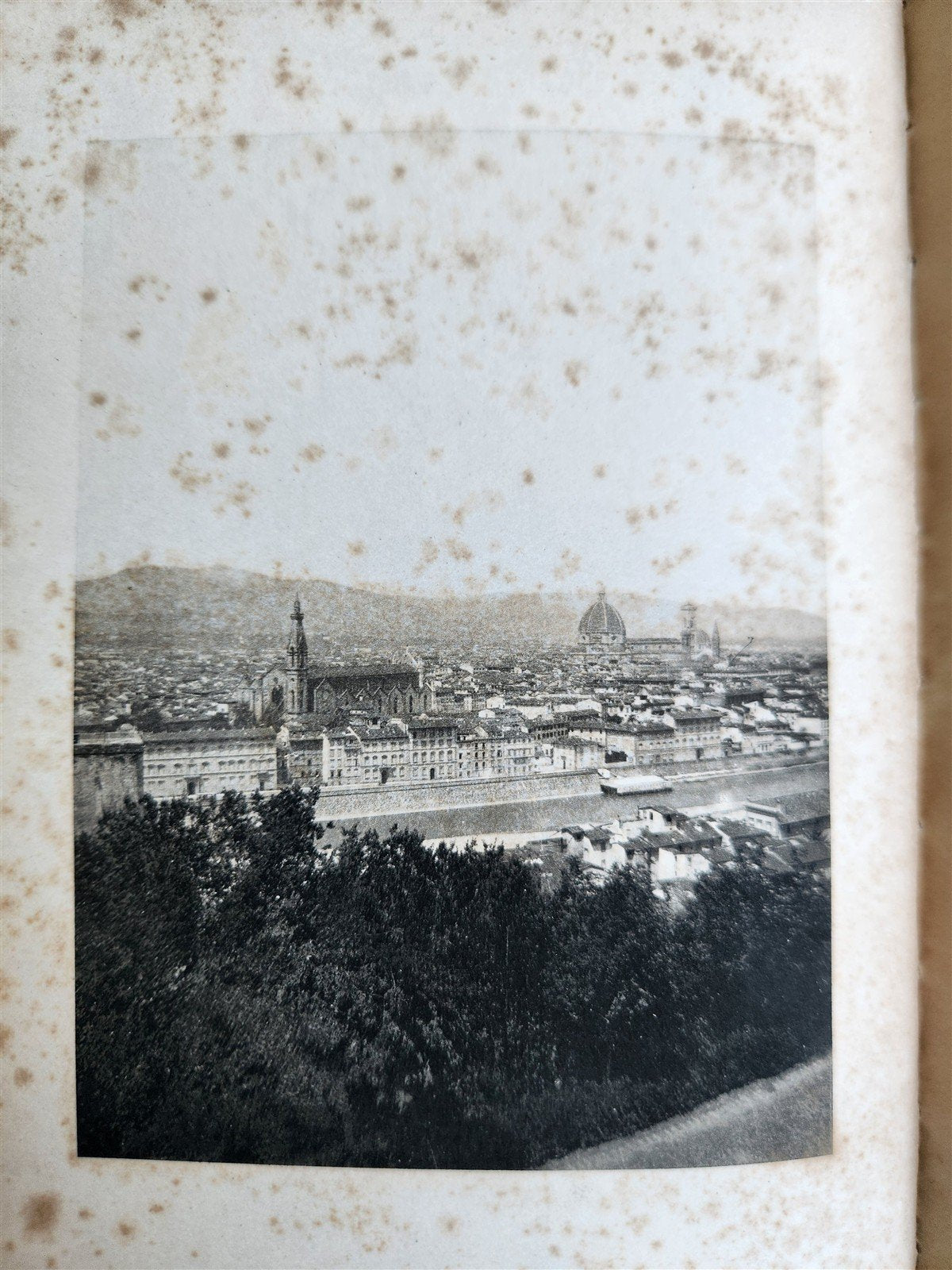 1897 FLORENCE HISTORY MEDICI ARTS antique ILLUSTRATED decorative vellum binding
