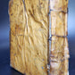 1599 BIBLE in LATIN ILLUSTRATED vellum ANTIQUE Cornelius Vanderbilt provenance
