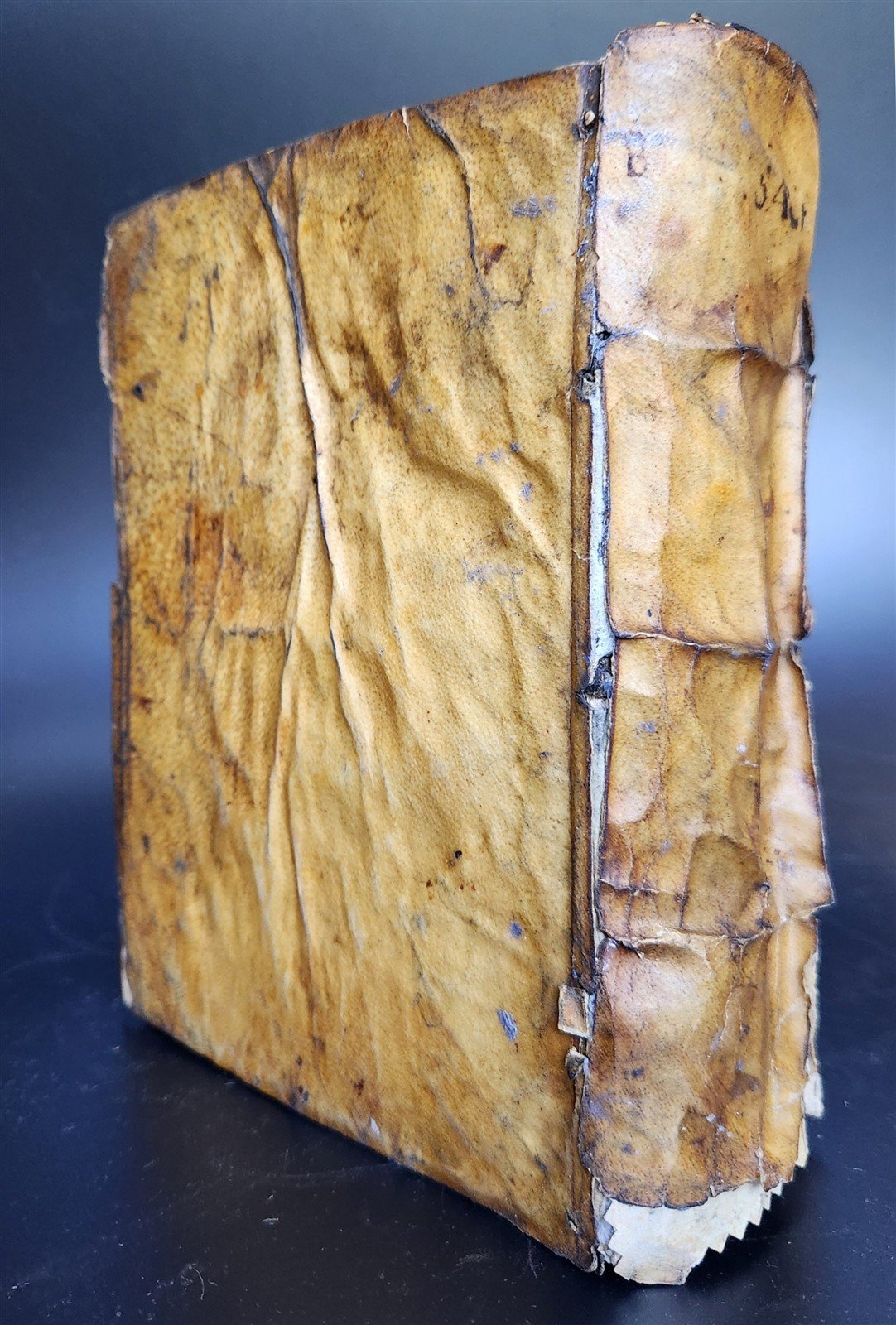 1599 BIBLE in LATIN ILLUSTRATED vellum ANTIQUE Cornelius Vanderbilt provenance