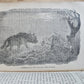 1872 LIVINGSTONE'S AFRICA Herald-Stanley Expedition ILLUSTRATED antique