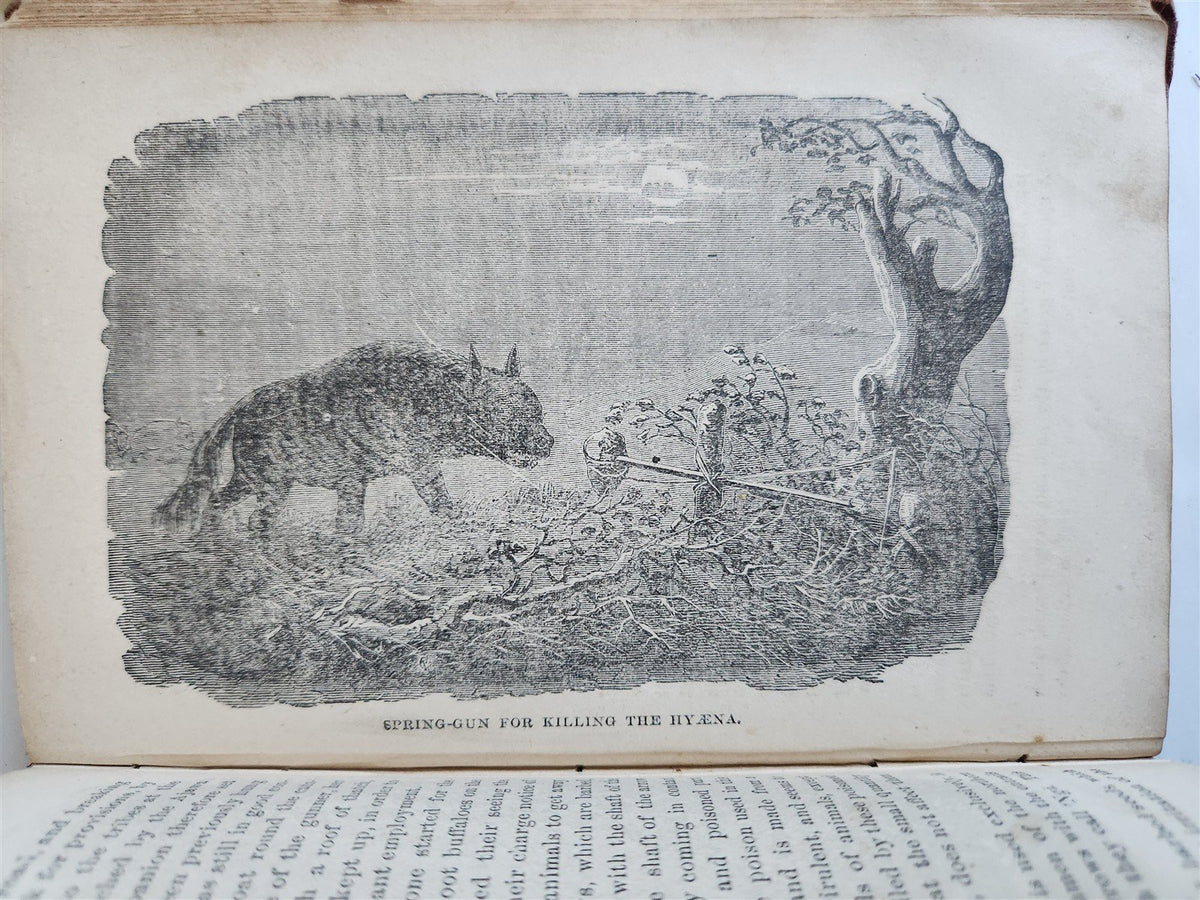 1872 LIVINGSTONE'S AFRICA Herald-Stanley Expedition ILLUSTRATED antique