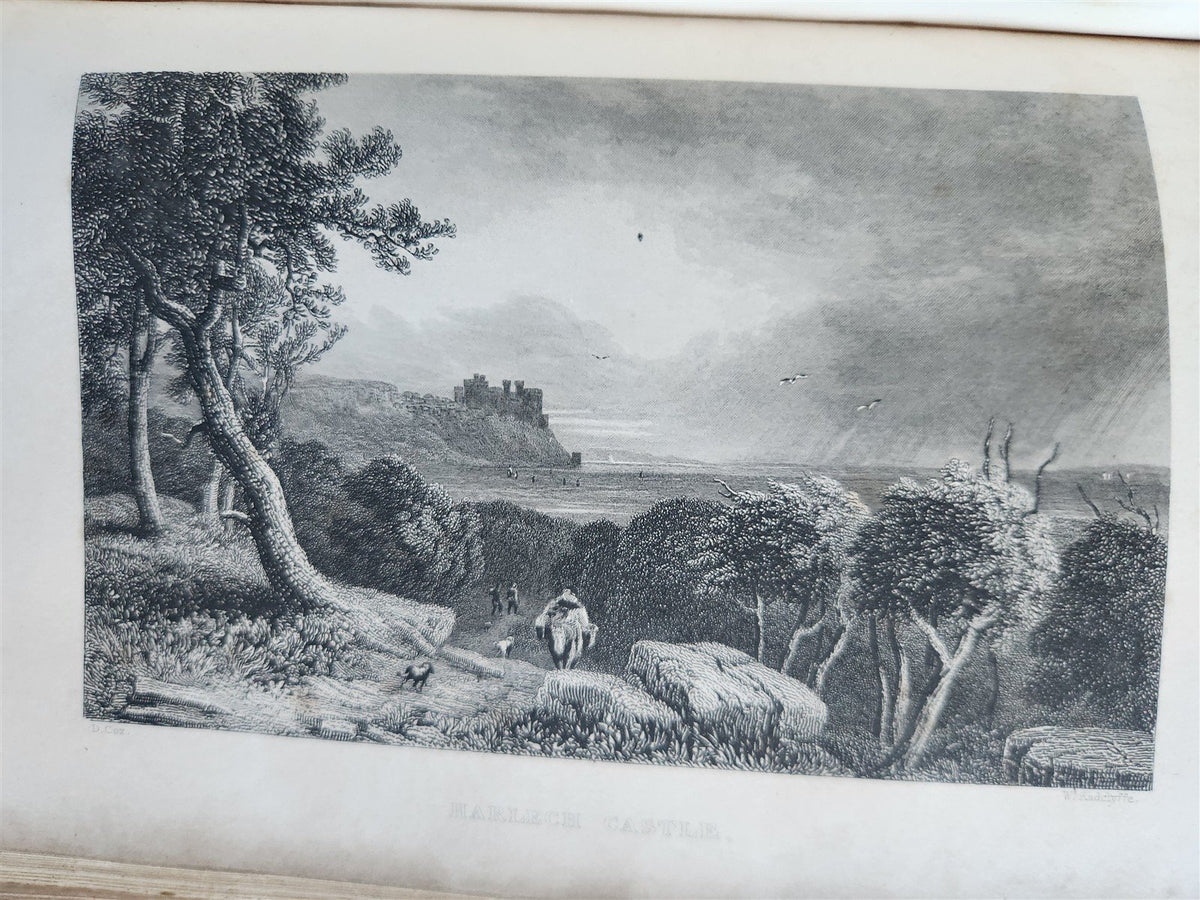 1860s WANDERINGS & EXCURSIONS in NORTH WALES by T. ROSCOE antique ILLUSTRATED