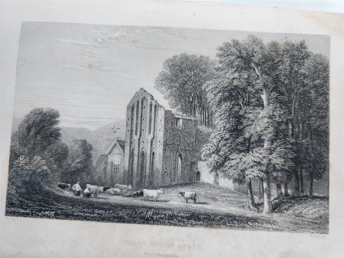 1860s WANDERINGS & EXCURSIONS in NORTH WALES by T. ROSCOE antique ILLUSTRATED