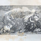 1848 THE MEXICAN WAR and ITS WARRIORS antique ILLUSTRATED Americana