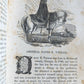 1848 THE MEXICAN WAR and ITS WARRIORS antique ILLUSTRATED Americana