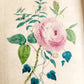 1840 FLORA'S LEXICON LANGUAGE and SENTIMENT of FLOWERS antique ILLUSTRATED