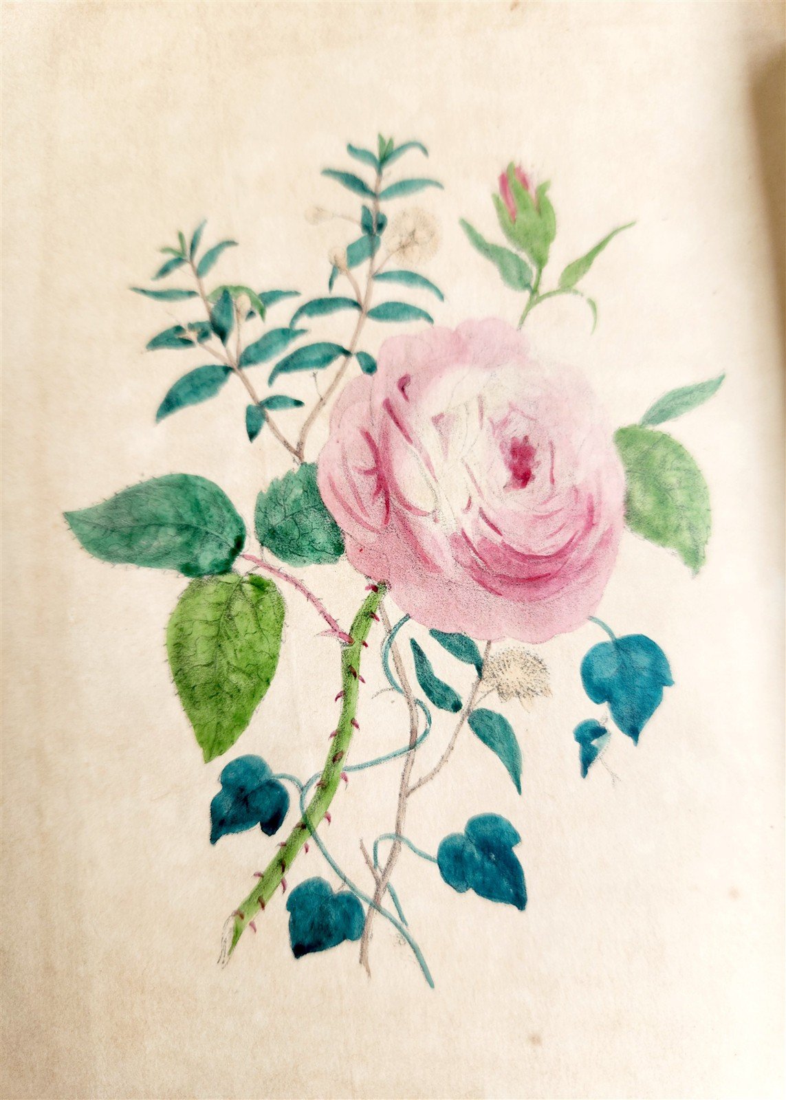1840 FLORA'S LEXICON LANGUAGE and SENTIMENT of FLOWERS antique ILLUSTRATED