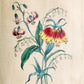 1840 FLORA'S LEXICON LANGUAGE and SENTIMENT of FLOWERS antique ILLUSTRATED