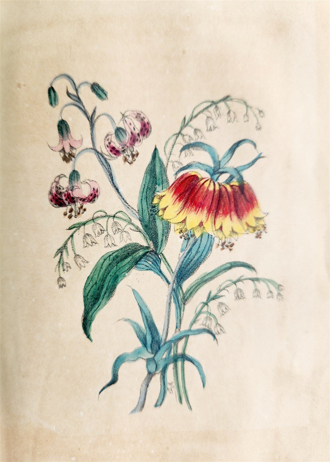 1840 FLORA'S LEXICON LANGUAGE and SENTIMENT of FLOWERS antique ILLUSTRATED
