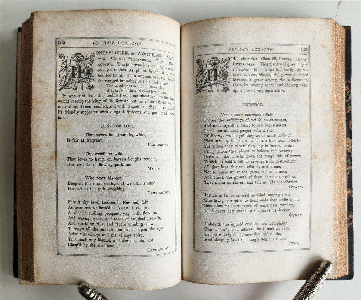 1840 FLORA'S LEXICON LANGUAGE and SENTIMENT of FLOWERS antique ILLUSTRATED